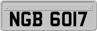 NGB6017