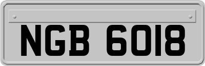 NGB6018
