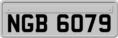 NGB6079