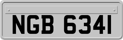 NGB6341