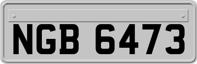 NGB6473