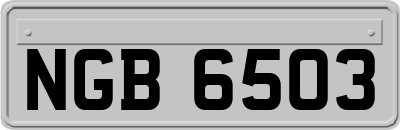 NGB6503