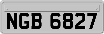 NGB6827