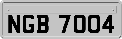 NGB7004