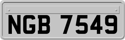NGB7549