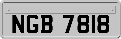 NGB7818