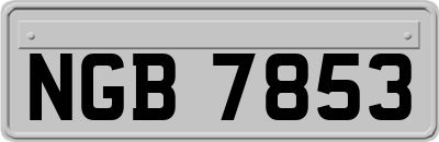 NGB7853