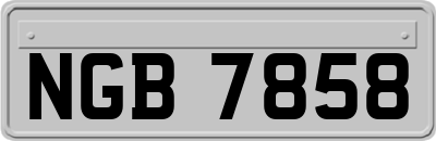 NGB7858