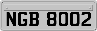 NGB8002
