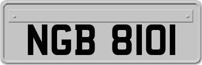 NGB8101