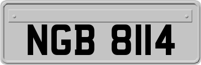 NGB8114