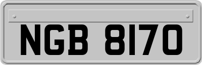 NGB8170