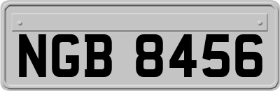 NGB8456