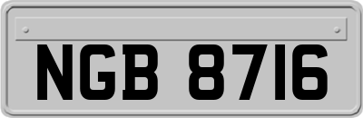 NGB8716