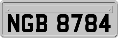 NGB8784