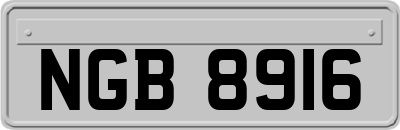 NGB8916