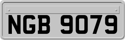 NGB9079