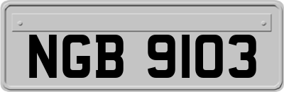 NGB9103