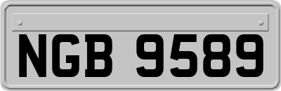 NGB9589
