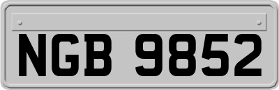 NGB9852
