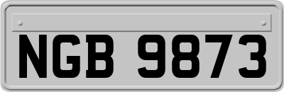 NGB9873