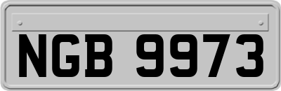NGB9973