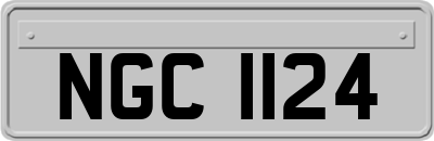 NGC1124