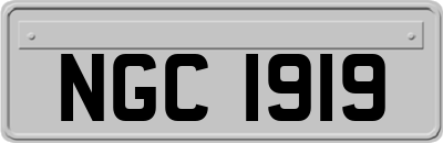 NGC1919