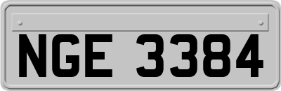 NGE3384