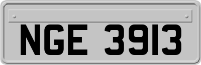 NGE3913