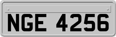 NGE4256