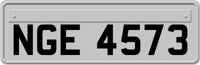 NGE4573
