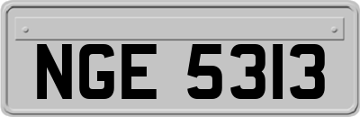 NGE5313