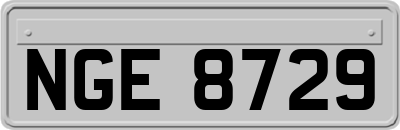 NGE8729