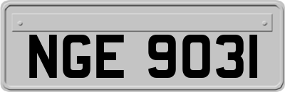 NGE9031