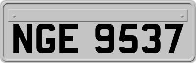 NGE9537