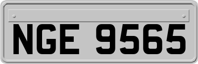 NGE9565