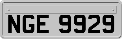 NGE9929