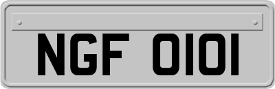 NGF0101