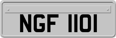 NGF1101