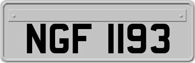 NGF1193