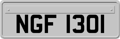 NGF1301