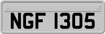 NGF1305