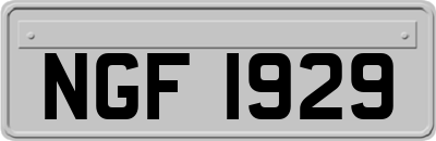 NGF1929