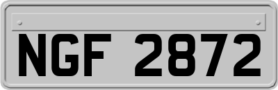 NGF2872