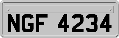 NGF4234