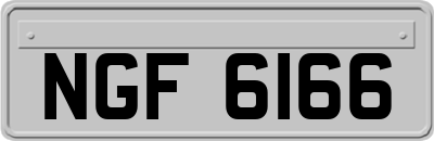 NGF6166