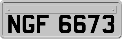 NGF6673