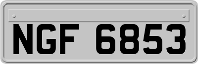 NGF6853