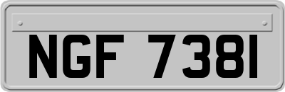 NGF7381